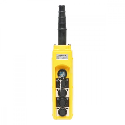 Telecomanda industriala cu 4 comenzi si contact general cu cheie 12V Breckner Germany foto
