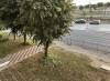 Apartament 2 Camere, Etajul 1, mast