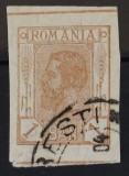 Romania 1900 - Spic de Grau ned. pe hartie cu scame