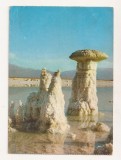 FA62-Carte Postala- ISRAEL - The Dead Sea salt formation, circulata 1982, Fotografie