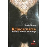 Sylvie Simon - Re&icirc;ncarnarea. Doctrine, mărturii, experiențe (editia 2010)