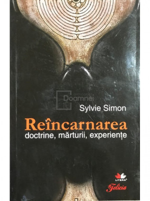 Sylvie Simon - Re&amp;icirc;ncarnarea. Doctrine, mărturii, experiențe (editia 2010) foto