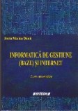Informatica de Gestiune (Baze) si Internet