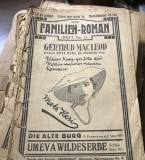 DER FAMILIEN ROMAN , Mata Hari, edt Eminescu, Cernauti Pret 3 lei, Nr 31