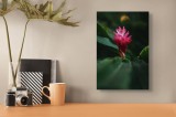 Tablou Canvas, "Floare exotică &icirc;n amurg verde", Floare, Exotica, Roz, Frunze, Verde, Lumina, Mister, Contrast, Frumusete, Eleganta, 26 x 39 cm, CMCLAS