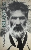 Br&acirc;ncuşi, Petru Comarnescu
