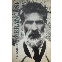 Br&acirc;ncuşi, Petru Comarnescu