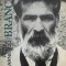 Br&acirc;ncuşi, Petru Comarnescu