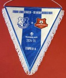 Fanion (protocol) meci fotbal FARUL CONSTANTA-HERMANNSTADT- etapa 6-a 2024