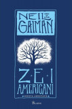 Zei americani. Ediția adnotată - Hardcover - Neil Gaiman - Paladin