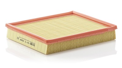 MANN-FILTER C 2598 Filtru aer foto