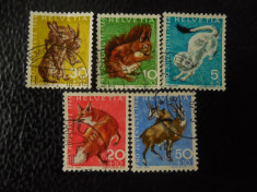 Serie timbre fauna animale stampilate Elvetia timbre filatelice postale foto