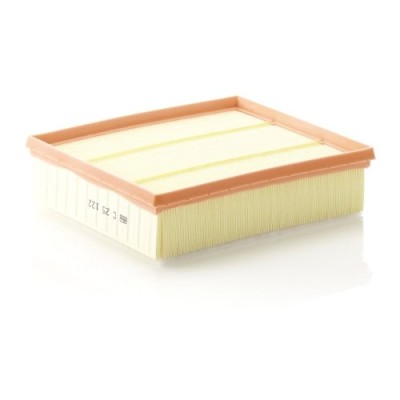 Filtru aer Mann-Filter C25122 foto