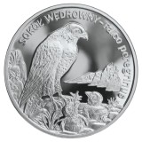 Polonia 20 zloti 2008,Animals of the World: Peregrine falcon (Falco peregrinus) PROOF, Argint ,925, 28,28g, Europa
