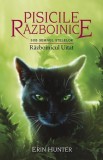 Cumpara ieftin Pisicile razboinice Vol.23: Razboinicul uitat