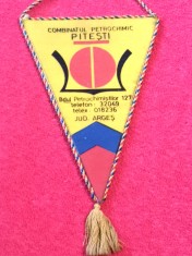 Fanion industrie - Combinatul "PETROCHIMIC" PITESTI