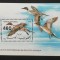 YEMEN A.R. -RATE- 1 COLITA, NEOB. - YAR 070
