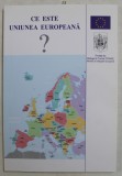 CE ESTE UNIUNEA EUROPEANA ? - UN GHID PENTRU TINERII ROMANI , 2001