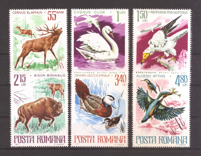 Romania 1977, LP 932 - Animale ocrotite in Romania, MNH
