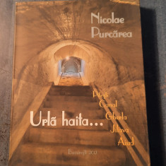 Urla haita ... Pitesti canal Gherla Jilava Aiud Nicolae Purcarea