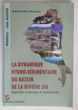LA DYNAMIQUE HYDRO - SEDIMENTAIRE DU BASSIN DE LA RIVIERE JIU , APPROCHE SYSTEMIQUE ET MULTI - ECHELLE par GABRIELA ADINA MOROSANU , 2020