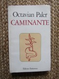 Octavian Paler - Caminante