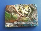 M3 C2 - Magnet frigider - tematica turism - Slovenia 1