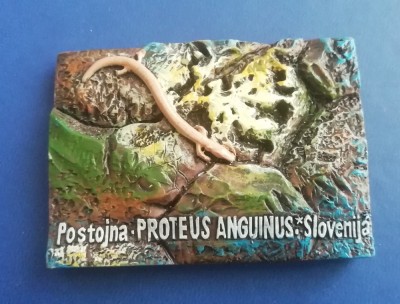 M3 C2 - Magnet frigider - tematica turism - Slovenia 1 foto