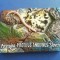 M3 C2 - Magnet frigider - tematica turism - Slovenia 1