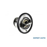 Termostat Jeep Compass (2006-&gt;)[MK49] #1