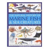 The Natural History Of Marine Fish Sea Creatures An Authoritative Guide To The Fascinating Diversity Of Saltwater Aquatic Life