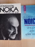 Constantin Noica - Jurnal de idei + Pagini despre sufletul romanesc