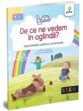 Cumpara ieftin De ce ne vedem in oglinda? Descopera undele luminoase/David A. Adler