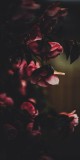 Husa Personalizata MOTOROLA One Macro Roses