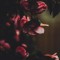 Husa Personalizata ALLVIEW V2 Viper Roses