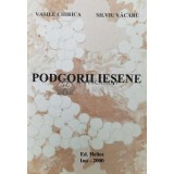 Podgorii Iesene (cu dedicație) - 2000 - Silviu Vacaru (AA109)