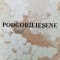 Podgorii Iesene (cu dedicație) - 2000 - Silviu Vacaru (AA109)