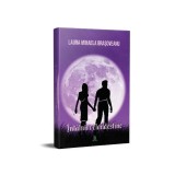 Carte Fictiune Intalniri Clandestine Laura Mihaela Brasoveanu Paperback Berg