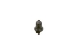 BOSCH 0 280 142 450 Supapa suprapresiune, rezervor combustibil