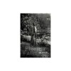 Florida Waters: Poems
