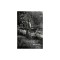 Florida Waters: Poems