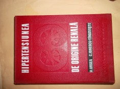 Hipertensiunea de origine renala N. Ursea foto