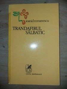 Trandafirul salbatic- Ioanid Romanescu foto