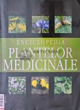 Enciclopedia Plantelor Medicinale (2000), 170 pagini, Coperta Brosata, Stare Acceptabila - Carte de Medicina Alternativa