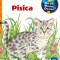 Pisica, Patricia Mennem - Editura Casa
