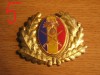 QW14 - Emblema militara / cuc - uscat - anii 1990 - piesa de colectie