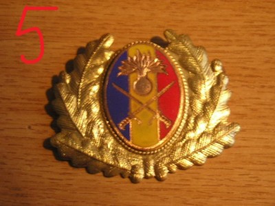 QW14 - Emblema militara / cuc - uscat - anii 1990 - piesa de colectie foto