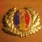 QW14 - Emblema militara / cuc - uscat - anii 1990 - piesa de colectie