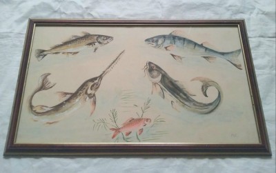 Studiu cu pesti &amp;ndash; acuarela foto