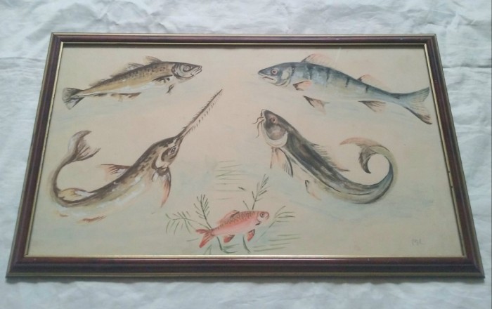 Studiu cu pesti &ndash; acuarela